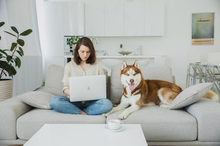 Топ 10 песен созданных с помощью Suno AI для начинающих